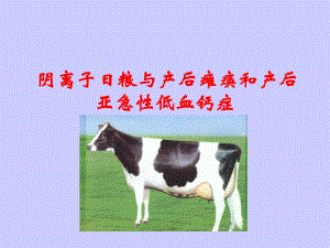 阴离子日粮与产后瘫痪和产后.ppt