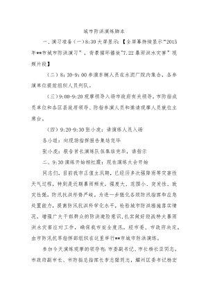 城市防洪演练脚本.docx