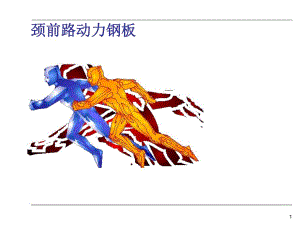 颈前路动力钢板Vectra.ppt