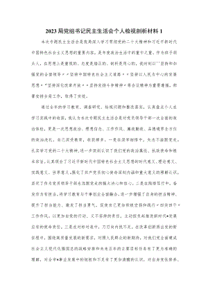 2023局党组书记民主生活会个人检视剖析材料一.docx