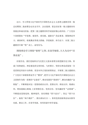 开展第二批2023年主题教育专题研讨发言材料.docx