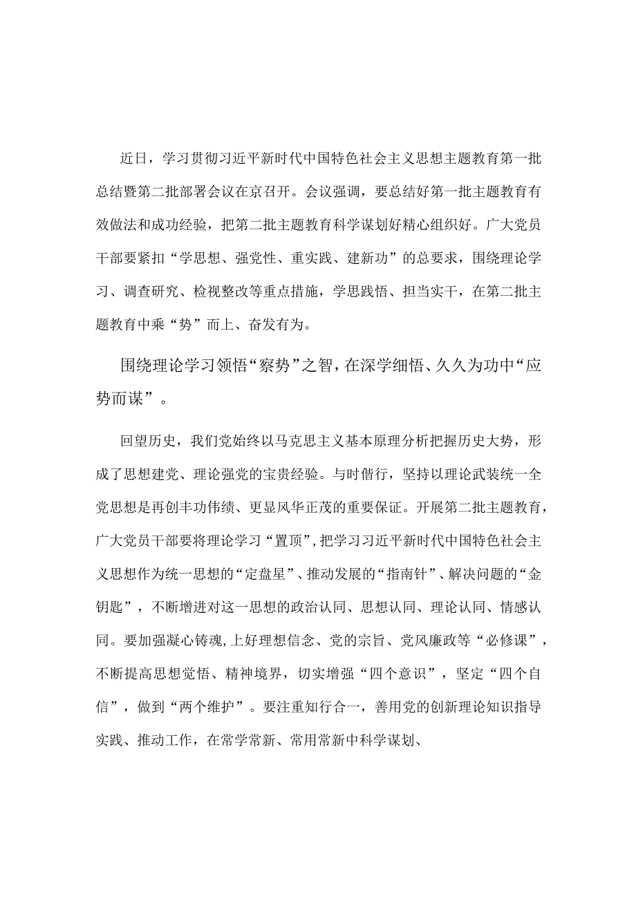 开展第二批2023年主题教育专题研讨发言材料.docx_第1页