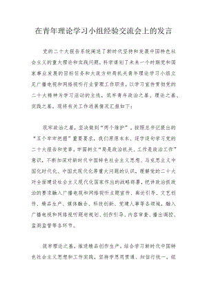 在青年理论学习小组经验交流会上的发言 .docx