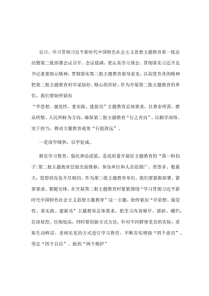 党员2023《第二批主题教育发言稿》资料多篇合集.docx