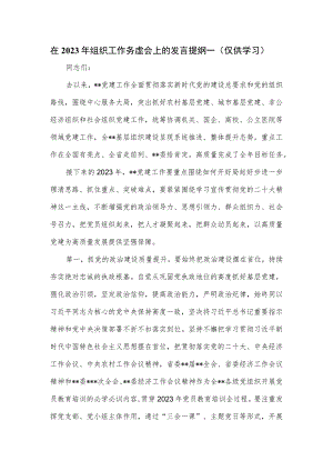 在2023年组织工作务虚会上的发言提纲一.docx