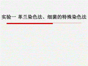 革兰染色法细菌的特殊染色法.ppt