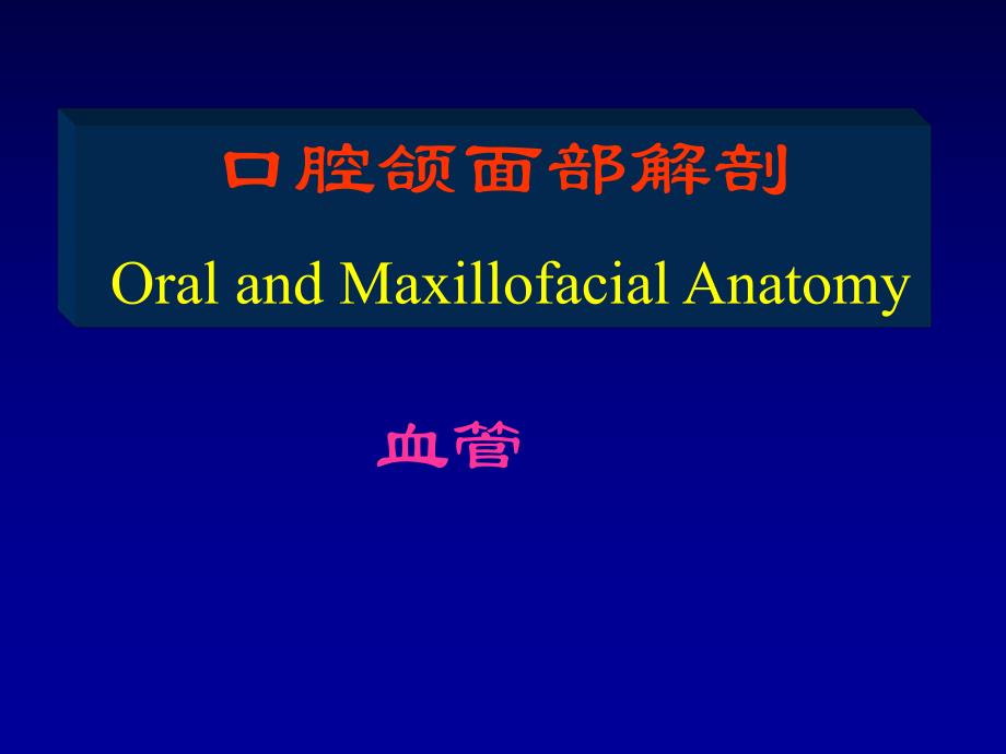 颌面部解剖血管.ppt_第1页