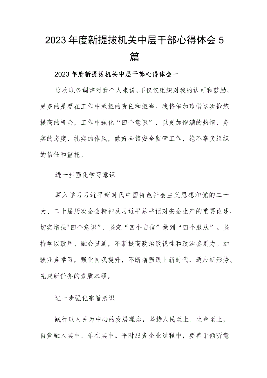 2023年度新提拔机关中层干部心得体会5篇.docx_第1页