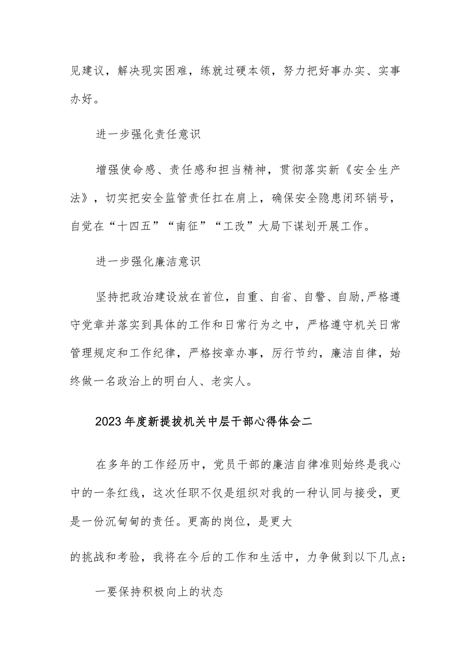 2023年度新提拔机关中层干部心得体会5篇.docx_第2页