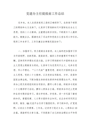 党建办主任提拔前工作总结 .docx