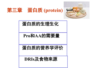 食物中的蛋白质介绍.ppt