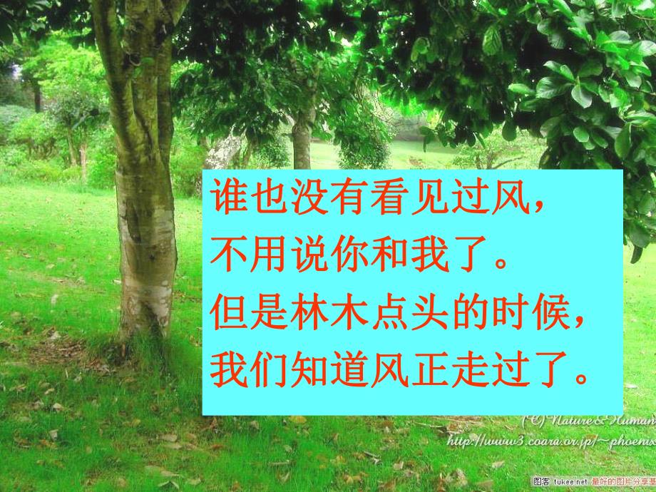 风叶圣陶.ppt_第2页