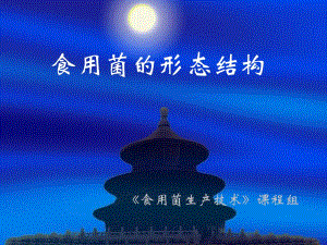 食用菌生产技术课程组.ppt