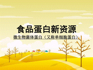 食品蛋白新资源.ppt