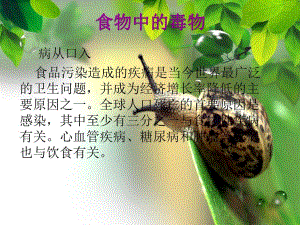 食物中的毒物.ppt