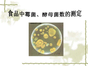 食品中霉菌酵母菌数的测定.ppt