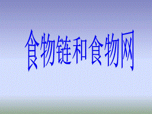 食物链和食物网能量流动.ppt