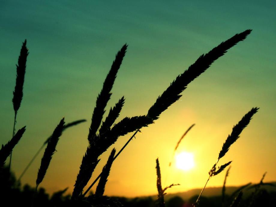 风景ppt模板myshareful.ppt_第2页