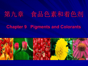 食品色素和着色剂.ppt