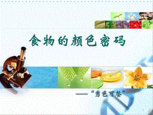 食物颜色密码.ppt