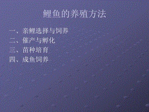 鲤鱼养殖方法.ppt