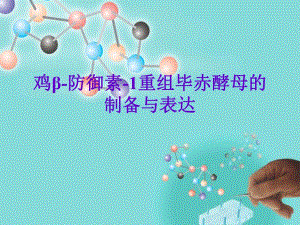鸡防御素1重组毕赤酵母的制备与表达.ppt