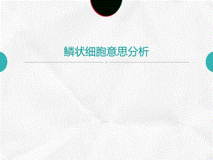 鳞状细胞是什么意思.ppt