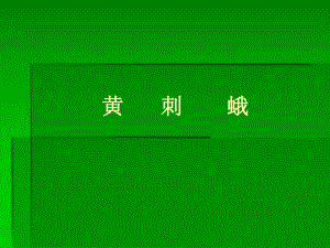 黄刺蛾果树病虫害论文.ppt