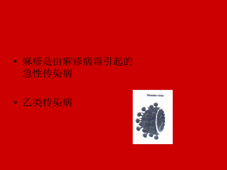 麻疹是由麻疹病毒引起的急性传染病.ppt_第2页