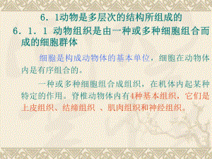 高等动物的结构与功能.ppt