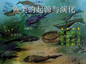 鱼类的起源与演化.ppt