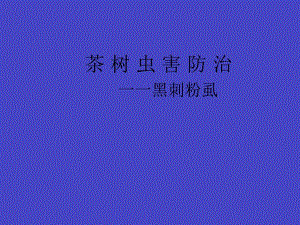 黑刺粉虱防治.ppt