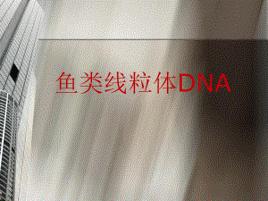 鱼类线粒体DNA.ppt