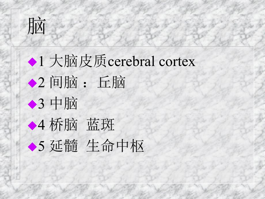 麻醉与神经系统.ppt_第3页