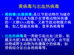 黄V出血热V疱疹V.ppt