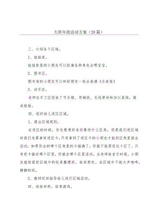 大班年段活动方案（20篇）.docx