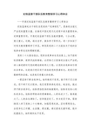 纪检监察干部队伍教育整顿学习心得体会.docx