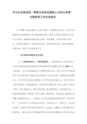 市文化和旅游局“聚焦文旅促发展 贴心为民办实事”主题教育工作总结报告.docx