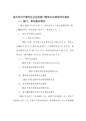 资兴市兴宁镇坪石卫生院部门整体支出绩效评价报告.docx