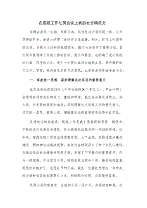 在巡视工作动员会议上表态发言稿范文.docx