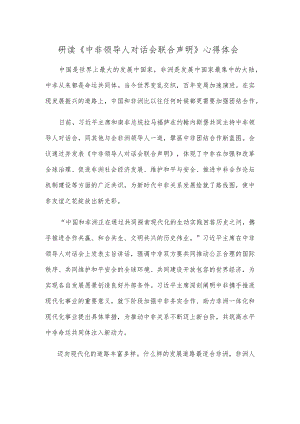 研读《中非领导人对话会联合声明》心得体会.docx