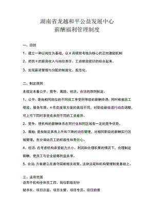 湖南省龙越和平公益发展中心薪酬福利管理制度.docx
