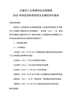 水富市人力资源和社会保障局2022年特定目标类项目支出绩效评价报告.docx