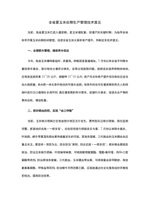 山东省夏玉米后期生产管理技术意见.docx