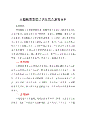 主题教育支部组织生活会发言材料.docx