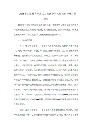2023年主题教育专题民主生活会个人检视剖析材料供借鉴.docx
