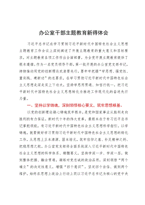 办公室党员干部关于主题教育学习心得体会.docx