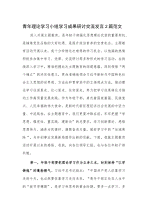 青年理论学习小组学习成果研讨交流发言2篇范文.docx