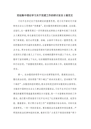 党组集中理论学习关于党建工作的研讨发言2篇范文.docx