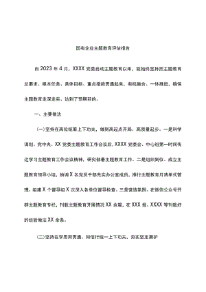 国有企业学习贯彻2023年主题教育专题评估报告.docx